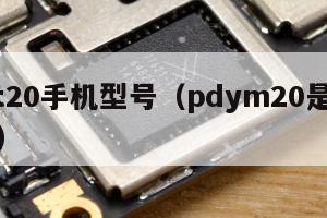 pdyt20手机型号（pdym20是什么型号）