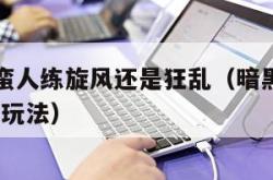 暗黑2野蛮人练旋风还是狂乱（暗黑2野蛮人单机最强玩法）