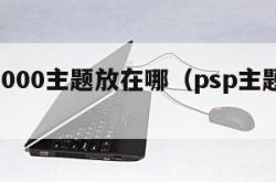 psp3000主题放在哪（psp主题怎么用）