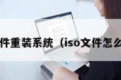 iso文件重装系统（iso文件怎么重装）