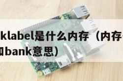 banklabel是什么内存（内存条rank和bank意思）