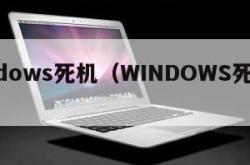 windows死机（WINDOWS死机代码）