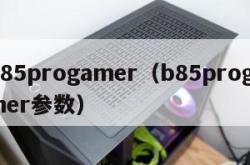 b85progamer（b85progamer参数）