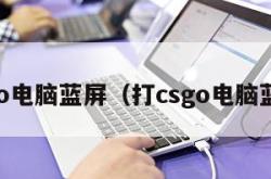 csgo电脑蓝屏（打csgo电脑蓝屏）