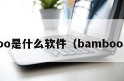 baboo是什么软件（bamboo软件）