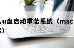 mac从u盘启动重装系统（mac u盘系统重装）