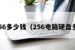 硬盘256多少钱（256电脑硬盘多少钱）