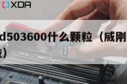 威刚d503600什么颗粒（威刚 d50 颗粒）