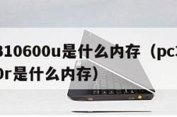 pc310600u是什么内存（pc310600r是什么内存）