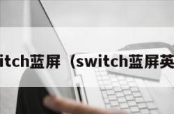 switch蓝屏（switch蓝屏英文）