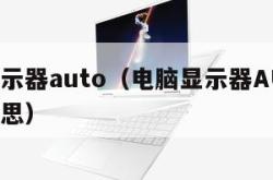 电脑显示器auto（电脑显示器AUTO是什么意思）