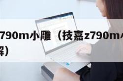 技嘉z790m小雕（技嘉z790m小雕主板图解）