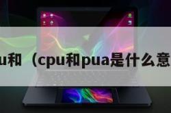 cpu和（cpu和pua是什么意思）