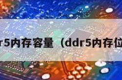 ddr5内存容量（ddr5内存位宽）