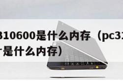 pc310600是什么内存（pc310600r是什么内存）