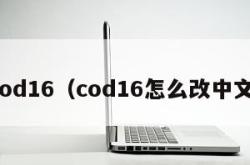 cod16（cod16怎么改中文）